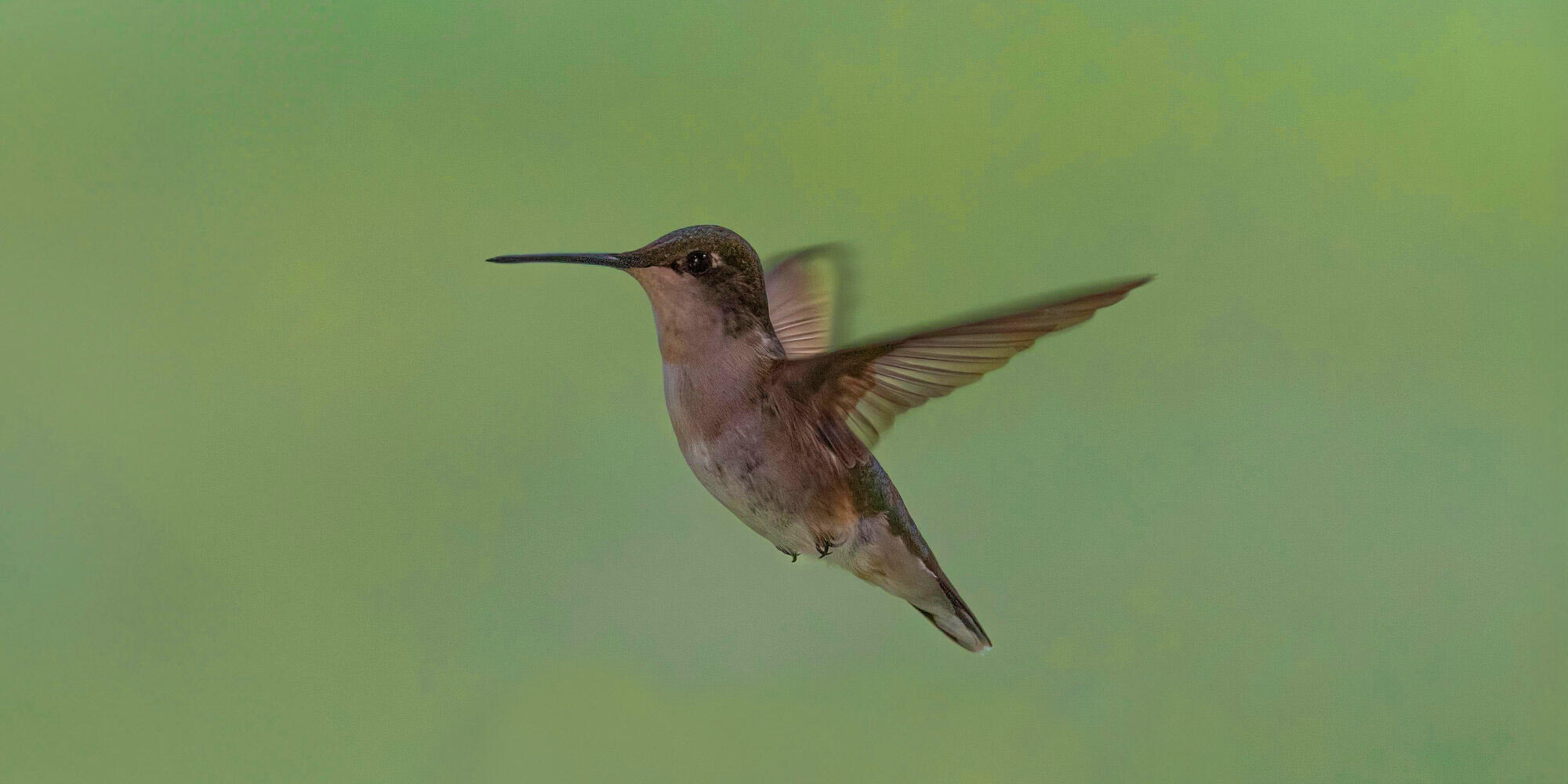 Working on a project